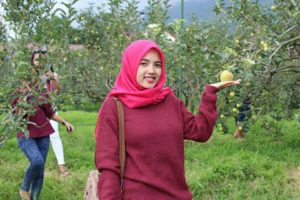 Petik Apel, Batu